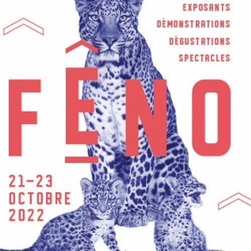 Le FENO 2022