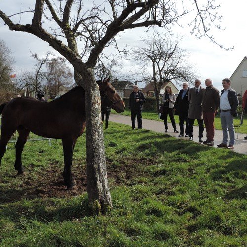 Parc des Boucles de la Seine, réunions des éleveurs
